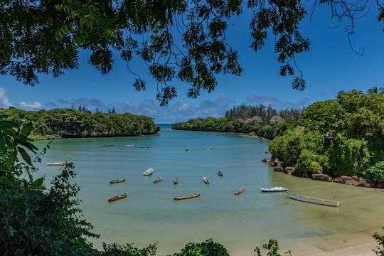 Beneath the Baobabs Kilifi